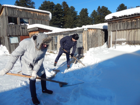 Колпашевские волонтеры активно участвуют в уборке снега
