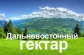 Граждане Российской Федерации имеют право принять участие в программе «Дальневосточный гектар»
