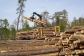 Совещание на тему «Управление охраной труда в лесопромышленном комплексе»