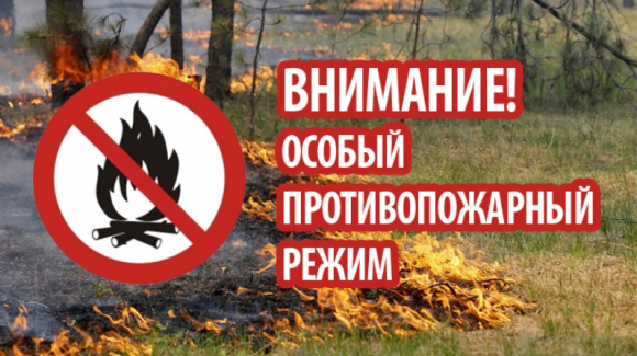 С 15 мая 2023 г. на всей территории Томской области вводится особый противопожарный режим