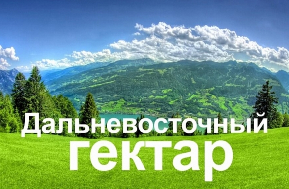 Граждане Российской Федерации имеют право принять участие в программе «Дальневосточный гектар»