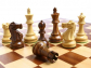 Итоги регионального физкультурного мероприятия по шахматам