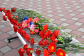 К памятнику Воину – Освободителю в г. Колпашево возложены цветы
