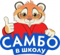 «Самбо в школу»: 25 педагогов Томской области прошли курсы повышения квалификации