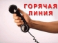 Департамент труда и занятости населения проведет телефонную «горячую» линию