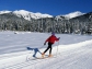 Тестирование по виду испытаний «Бег на лыжах»